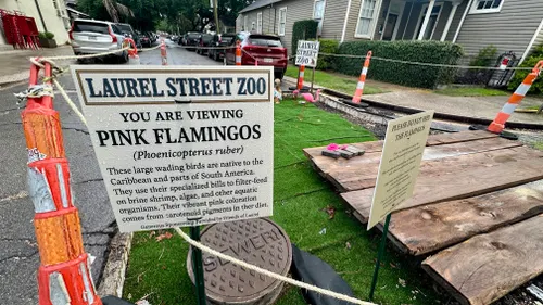 Multiple cones marking street hazards